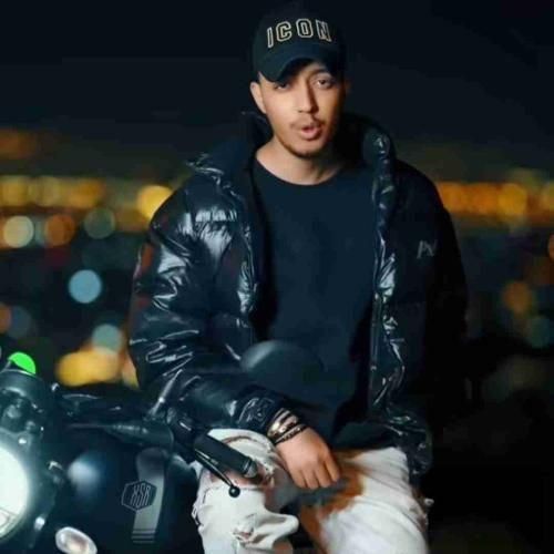 دانلود آهنگ حس پنهون بین من و تو عقل منو برد امیر خوشنگار