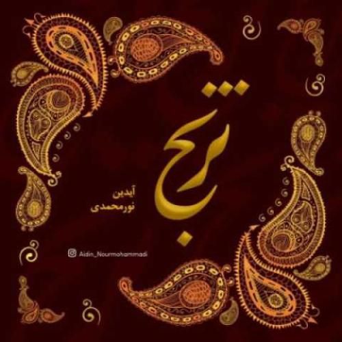 دانلود آهنگ ترنج آیدین نورمحمدی