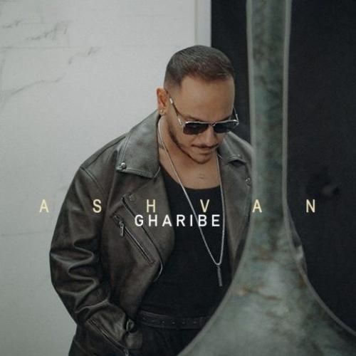 دانلود آهنگ غریبه اشوان