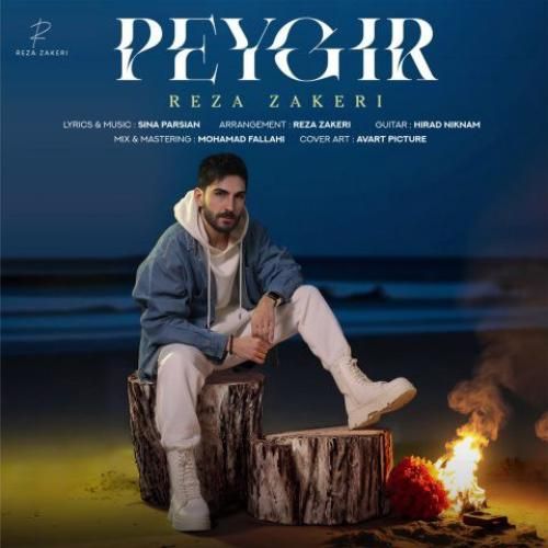 دانلود آهنگ پیگیر رضا ذاکری