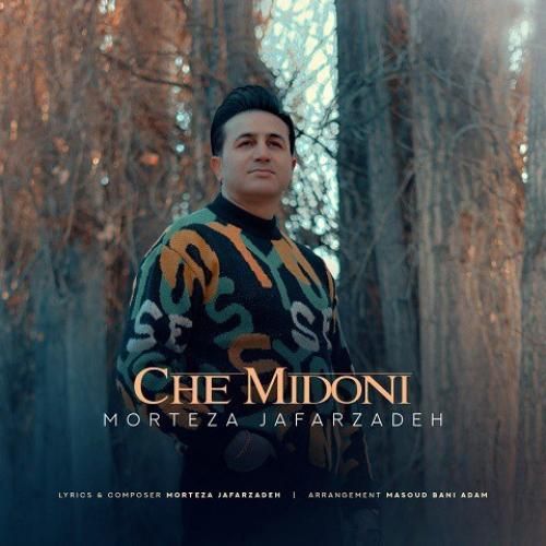 دانلود آهنگ چه میدونی مرتضی جعفرزاده