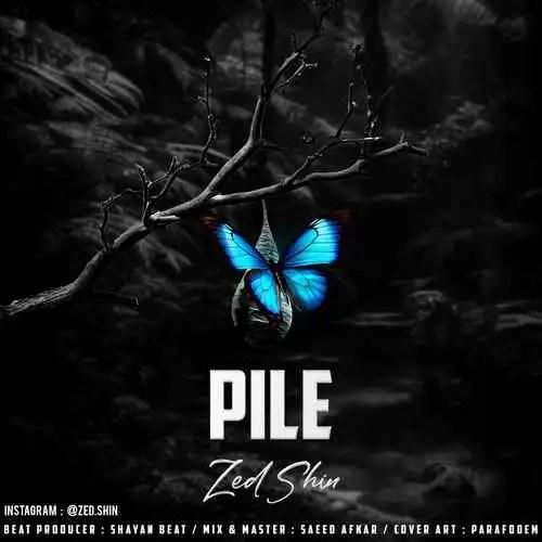 دانلود آهنگ پیله زدشین