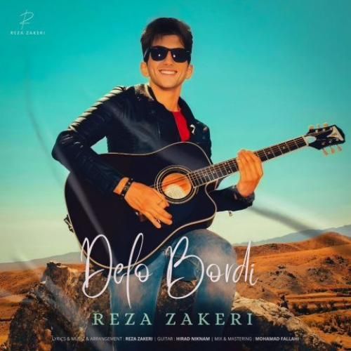 دانلود آهنگ دلو بردی رضا ذاکری