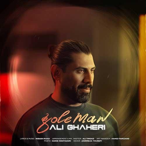 دانلود آهنگ گل من علی قاهری