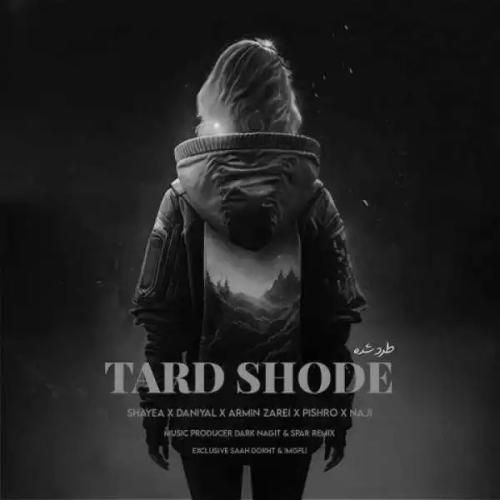 دانلود آهنگ طرد شده شایع و دانیال و آرمین زارعی و رضا پیشرو و ناجی