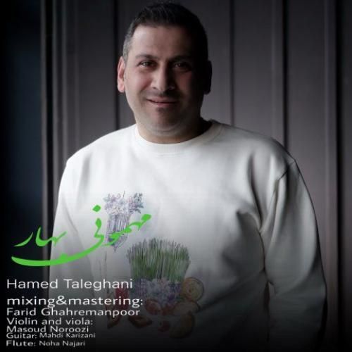 دانلود آهنگ مهمونی بهار حامد طالقانی
