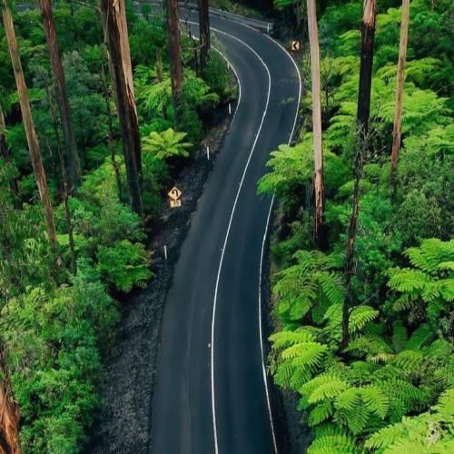 دانلود آهنگ برید کنار اومدم با پرشیا ماشین شوتی موتور زانتیا