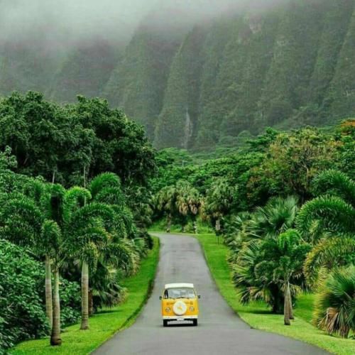 دانلود آهنگ ساعت وایسه بهزاد لیتو و زد بازی