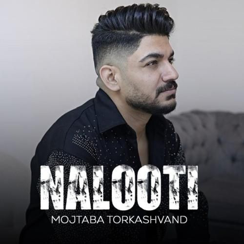 دانلود آهنگ نالوطی مجتبی ترکاشوند
