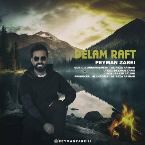 دانلود آهنگ دلم رفت پیمان زارعی