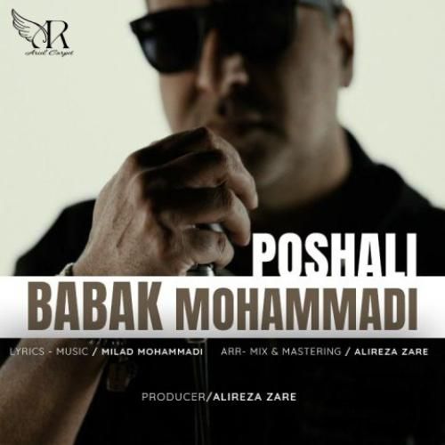 دانلود آهنگ پوشالی بابک محمدی