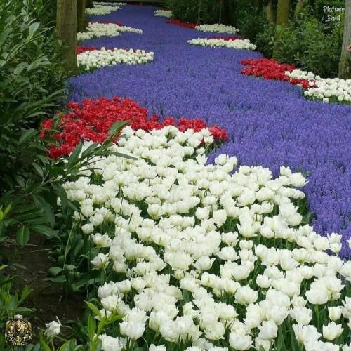 دانلود آهنگ عشق مقدس فاطمه مهلبان