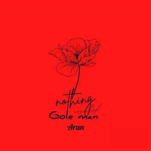 دانلود آهنگ گل من آران