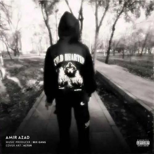 دانلود آهنگ دل سرد امیر آزاد