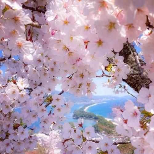 دانلود آهنگ بباره سنگ هر طوری بشه کنارتم یکی هست هنوز دیوار تکیه ات