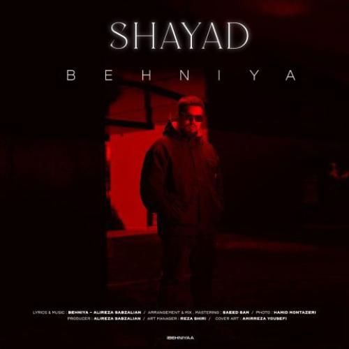 دانلود آهنگ شاید بهنیا