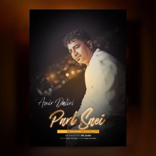 دانلود آهنگ پارک ساعی امیر دلیری
