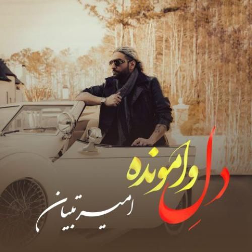 دانلود آهنگ دل وامونده امیر تبیان