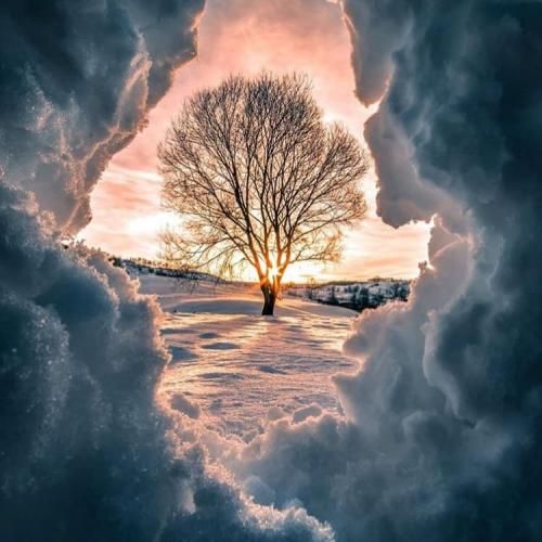 دانلود آهنگ میام تلو تلو لی لی اینا روی کتو متو یی می