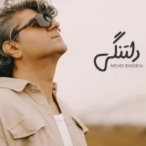 دانلود آهنگ دلتنگی مهدی بی معین