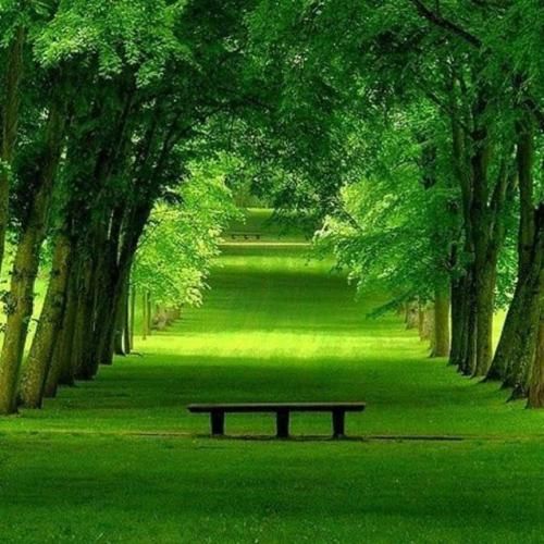 دانلود آهنگ چیکار کردی با دلم وای چیکار کردی