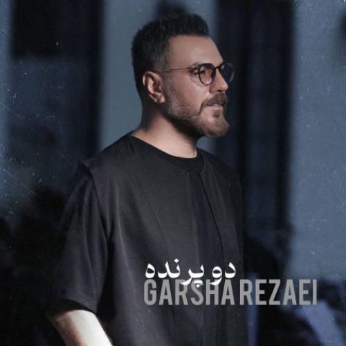 دانلود آهنگ دو پرنده گرشا رضایی