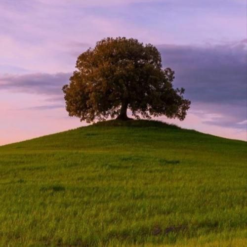 دانلود آهنگ من دیگه حوصله عاشقی رو ندارم