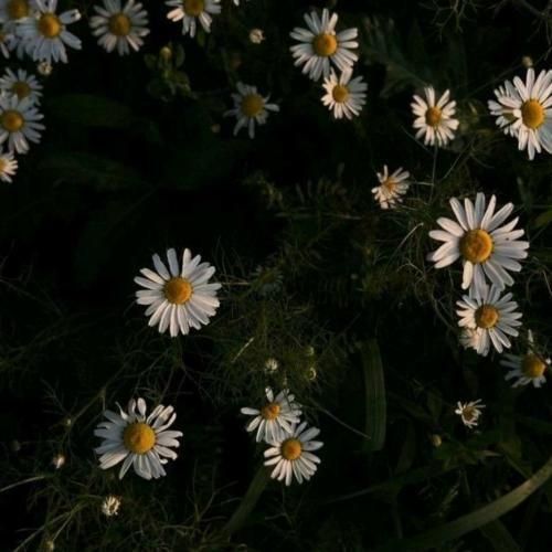 دانلود آهنگ امشب شده ول بشو تو بغلم ول بشو 