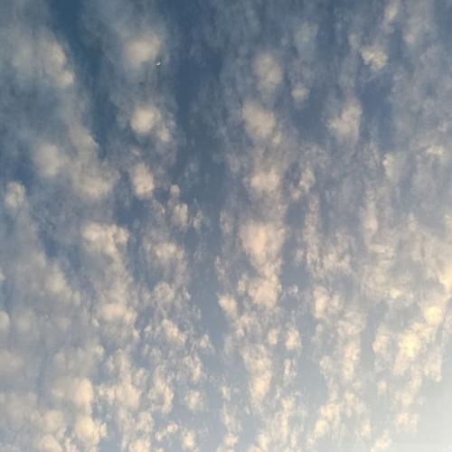 دانلود آهنگ با همه لاس میزنم یه زنگ به عباس میزنم