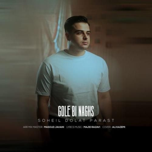 دانلود آهنگ گل بی نقص سهیل دولت پرست