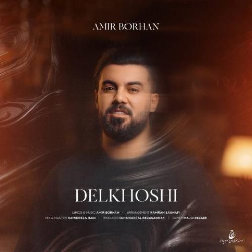 دانلود آهنگ دلخوشی امیر برهان