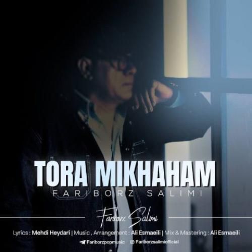 دانلود آهنگ تورا میخواهم فریبرز سلیمی