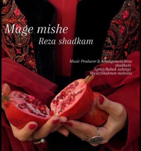 دانلود آهنگ مگه میشه رضا شادکام