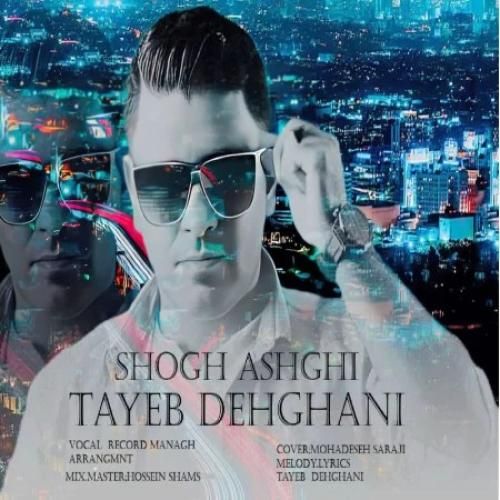 دانلود آهنگ شوق عاشقی طیب دهقانی