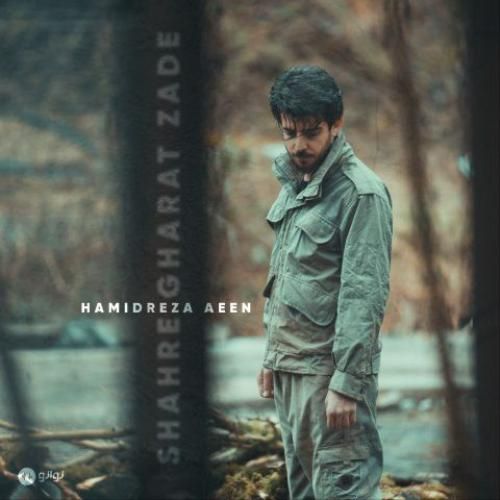 دانلود آهنگ شهر غارت زده حمیدرضا آیین