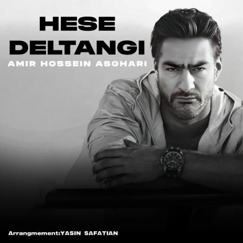دانلود آهنگ حس دلتنگی امیرحسین اصغری