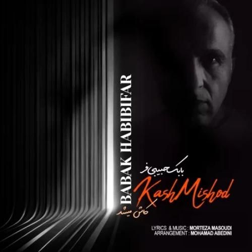 دانلود آهنگ کاش میشد بابک حبیبی فر