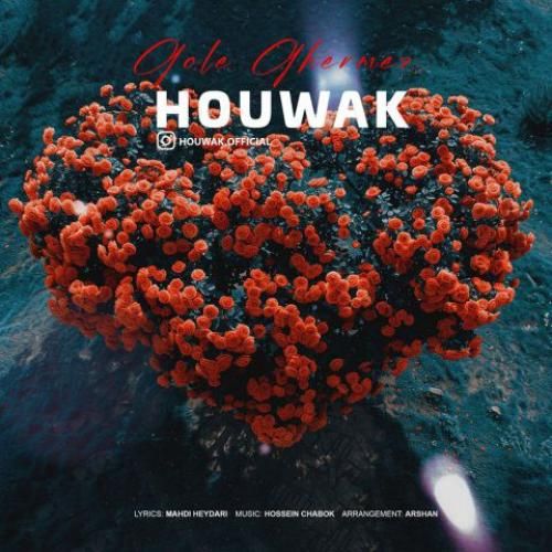 دانلود آهنگ گل قرمز هوواک