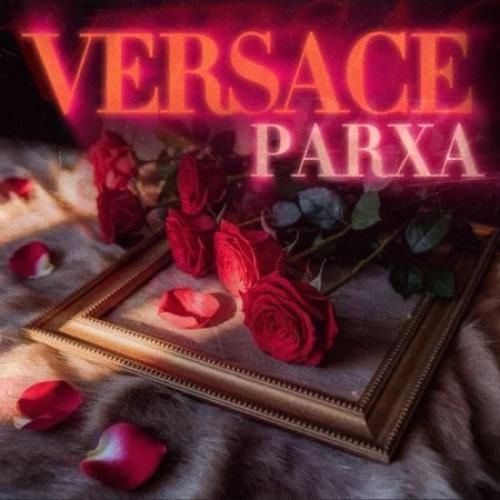 دانلود آهنگ ورساچه پارسا