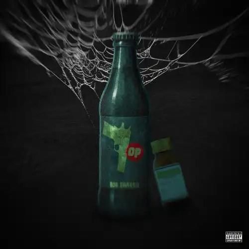 دانلود آهنگ سون آپ بیگ شگی