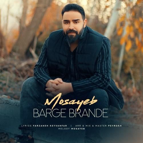 دانلود آهنگ برگ برنده مصیب