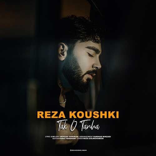 دانلود آهنگ تک و تنها رضا کوشکی