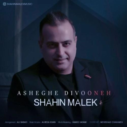 دانلود آهنگ عاشق دیوونه شاهین ملک