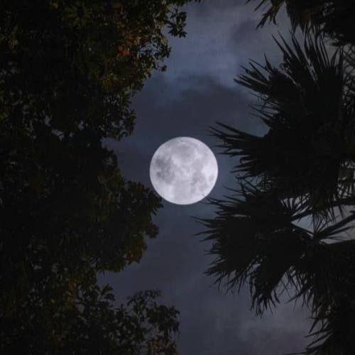 دانلود آهنگ ای وای که چشام شده بد خون یه دستم روی فرمون