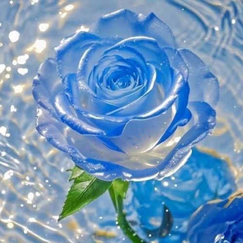 دانلود آهنگ یه جوری عاشقم که با تو حاضرم تا خود ماه برم