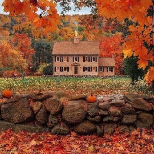 دانلود آهنگ نمیچینم گلی که خار داره دلبر نگیرم دلبری 