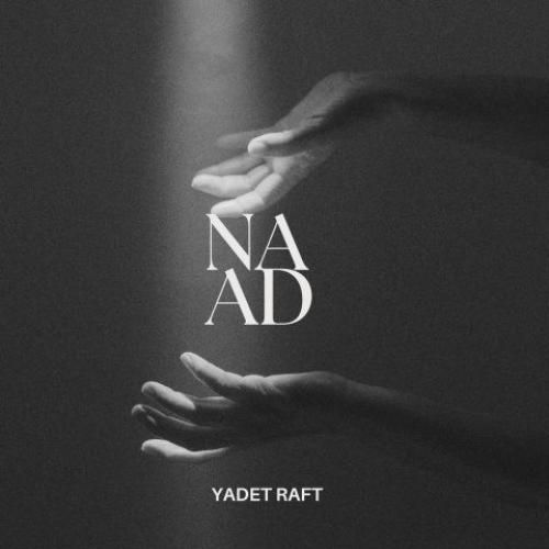 دانلود آهنگ یادت رفت ناد