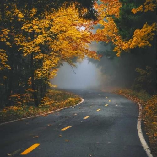 دانلود آهنگ مجنون لامیا