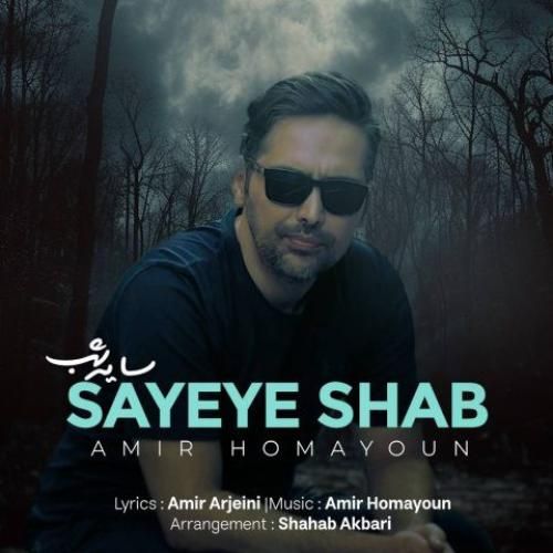 دانلود آهنگ سایه شب امیر همایون