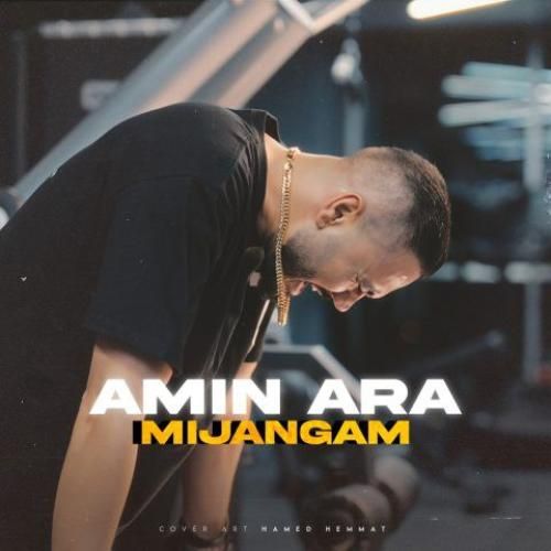 دانلود آهنگ میجنگم امین آرا